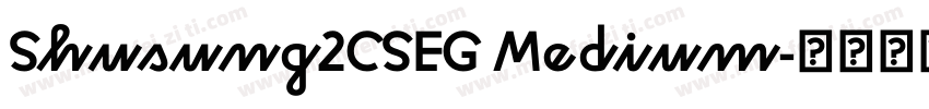 Shusung2CSEG Medium字体转换